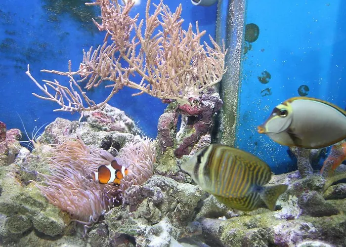 Fisherman's House Bed and breakfast 4*